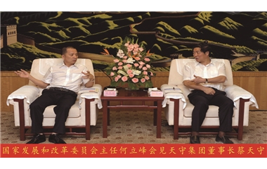 國家發展和改革委員會主任何立峰會見天守集團董事長蔡天守 